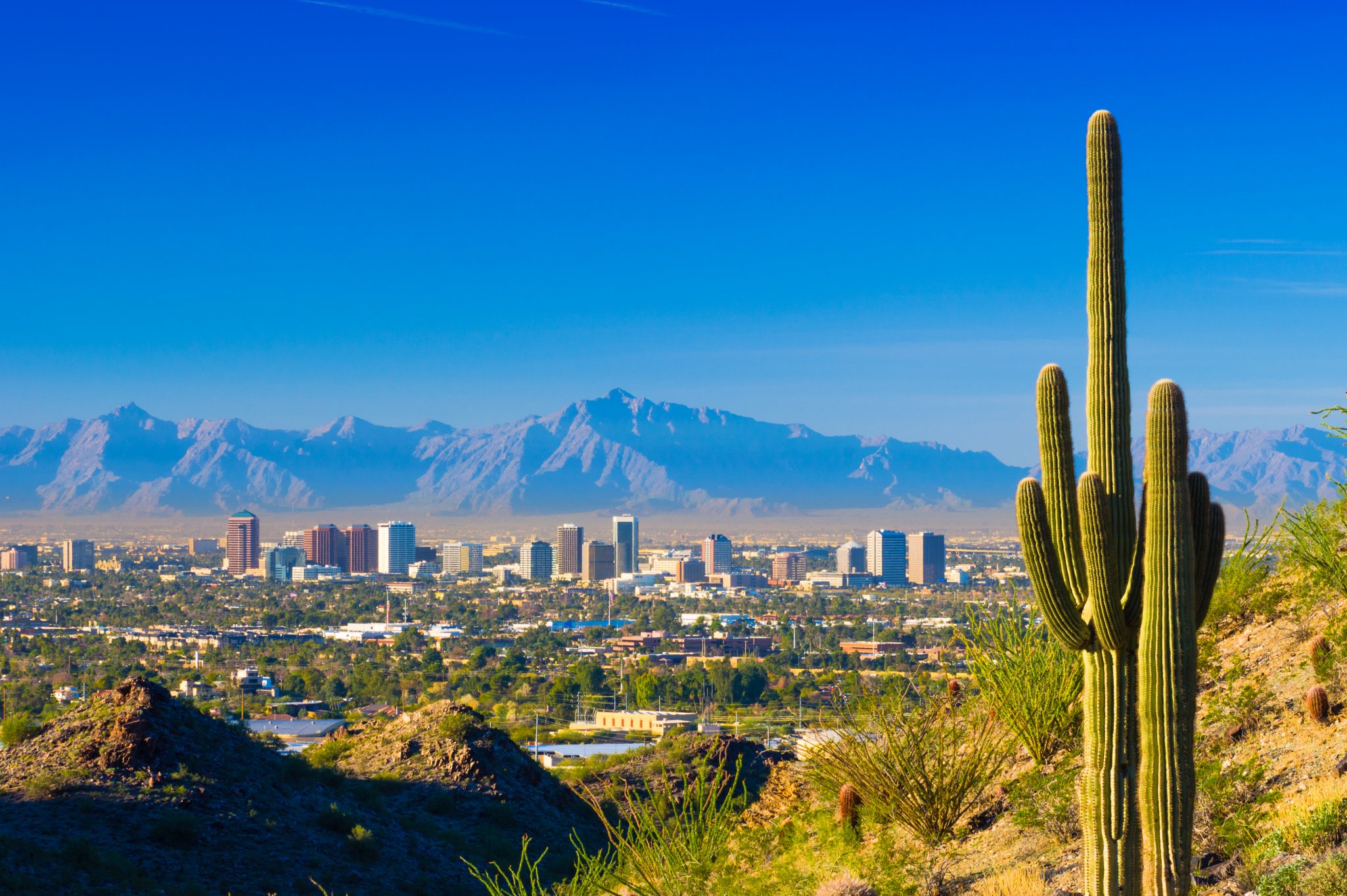 Phoenix Arizona
